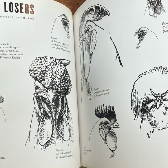 The Fairest Fowl: Portraits of Championship Chickens Book by Tamara Staples - Picture 12 of 16